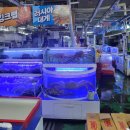 농수산물 도매시장 내 입구 경비실 | 대구 매천시장 가는길 회 센터 해산물 먹는곳 위치는 농수산물도매시장&#34;수산동&#34;