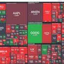 비지닷컴 이미지