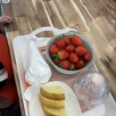 나리유치원 | 울산 주말체험 아이랑 딸기따기 후기 : 나리베리농장 나리팜 예약 패키지