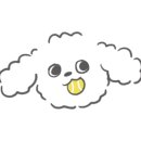 엄마손칼국수 이미지