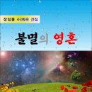 불멸의 영혼 / 장일홍 4·3희곡 선집 (전자책) 이미지