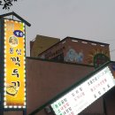 옹심