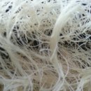 쌍둥농장 이미지