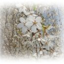 신한고등학교 이미지