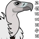 숲속의하루민박 이미지