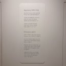 레인보우데이 | 아기 침대 구매하기 솜트리 파주쇼룸 방문후기_레인보우 데이베드 침대 (견적공유)