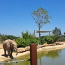 (주)블루칩스 이미지