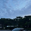 간석점 현대자동차 | 간석점 블루핸즈 수리 후기 (cn7 언더커버,방열판 교체)