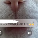 롯데마트(관평점) 이미지