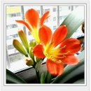 어느봄날 이미지