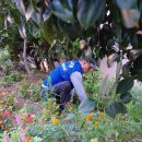 괴정1동-12 이미지