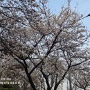 동천체육공원 이미지