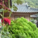 거목산장 이미지