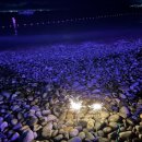 미니스톱 학동몽돌점 이미지