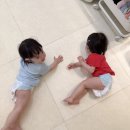 N와이즈케어_무 | 여름기저귀 추천 베피스 쿨링핏 썸머 기저귀 물티슈 후기