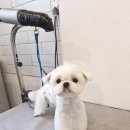 홍글몽글 이미지