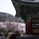 천수트레이드