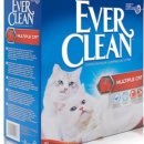 에버크린 이미지