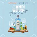 미디어캐치