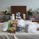 안녕강아지야 이미지