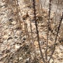 새봄농장(3) 이미지