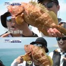 도시어부 이미지
