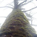 어느멋진날에1 이미지