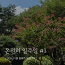 꼬기어때&커피(인계점) | [2025_08_2] 온전히 일주일 #1 : 온몸으로 막아도 내일은 올테니깐