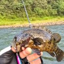 영춘보건지소 이미지