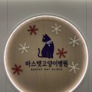 바스텟고양이병원 이미지