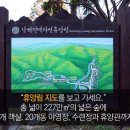 남해편백자연휴양림(남해) 이미지