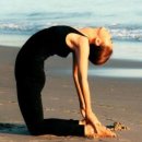 올댓요가/필라테스 이미지