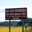 영주 신암리 마애여래삼존상 이미지