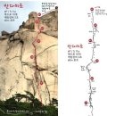 안다미로 카카오 검색결과