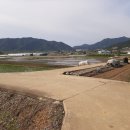 대밭민박 이미지