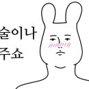 참솔 한우 이미지