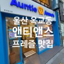 울산 옥교동 앤티앤스ㅣ 신메뉴 슈크림 크림치즈 솔직후기
