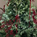 더벤티 하남신장점 | 하남 카페 카페수우 본점 크리스마스트리 감성 딸기케이크 솔직 후기