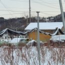 하은농장 이미지