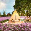 가든스테이 이미지