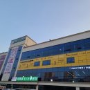리바이브 헤어
