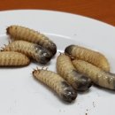 종기농장 이미지