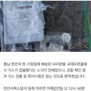 천안 국제우편물서 가스 검출 소동…경찰 "가스 · 폭발물 없어" 이미지