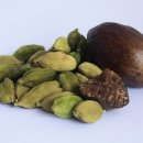 에파코팜 이미지