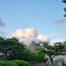 영등-여의-영등포-762060 | 영등포공원 여의도공원 서울 시티런 러닝코스