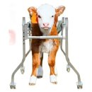 기립농장 이미지