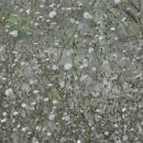 카페인생이야기 이미지