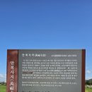 남원 만복사지 석조대좌 | 전북 남원 김시습의 금오신화에 나오는 만복사저포기의 그 만복사지. 0911.