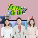 밀감밭민박 네이버블로그