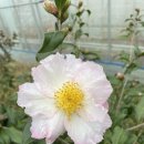 천중농장 이미지